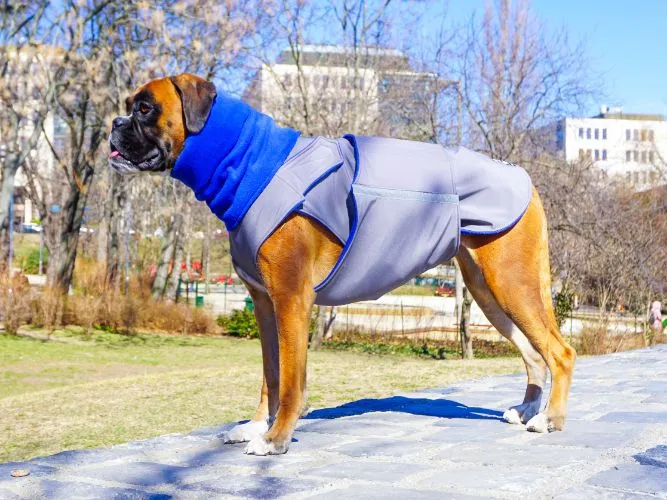 BOXER SOFTSHELL DOG COAT   NECK WARMER / MADE TO ORDER