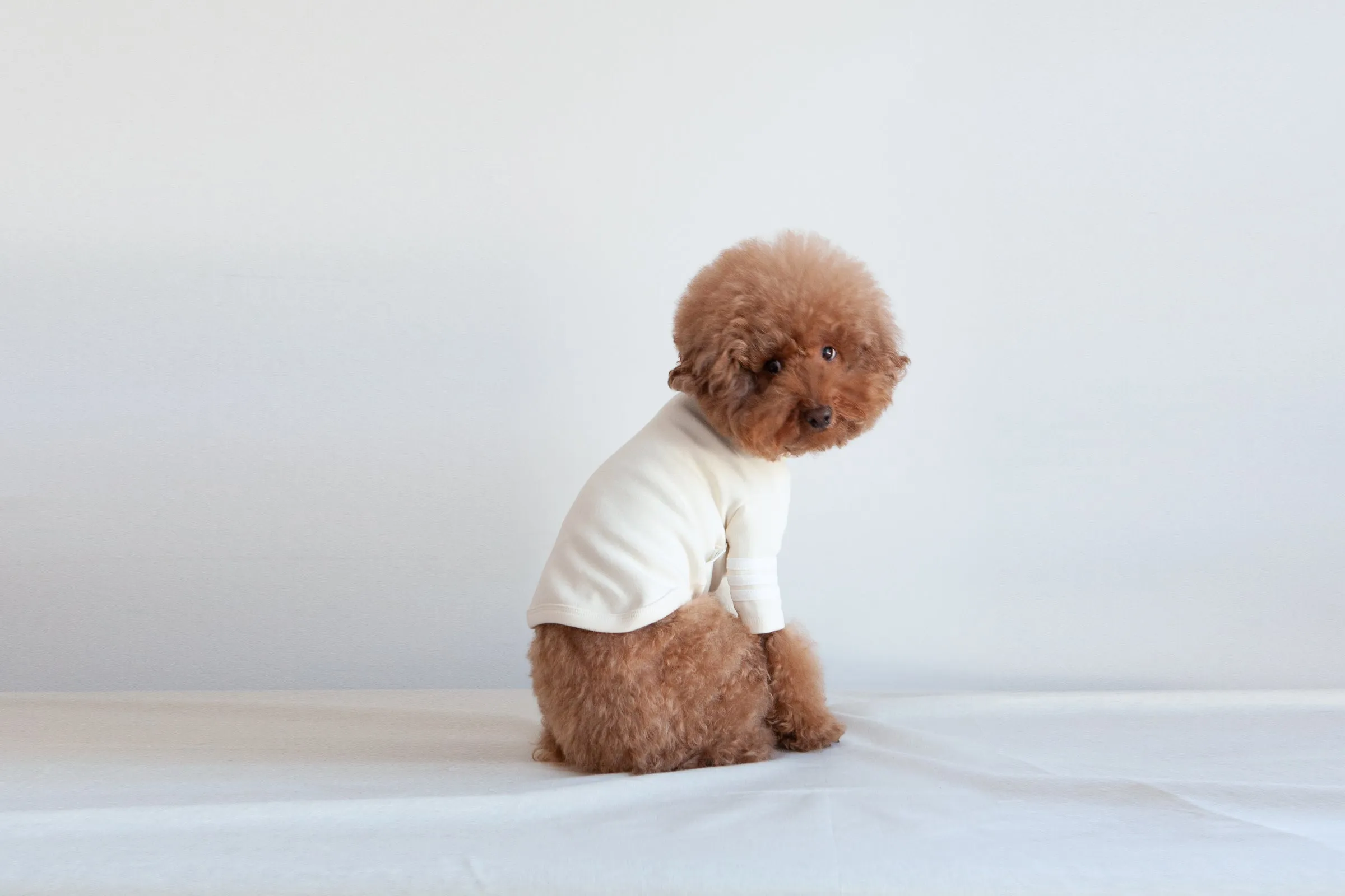 DENTISTS APPOINTMENT | Striped Point Turtleneck in Cream