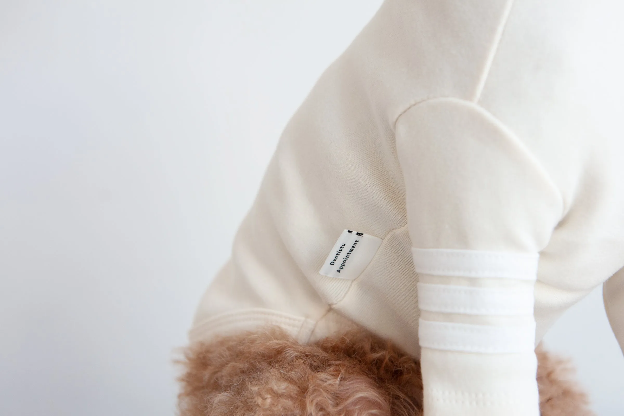 DENTISTS APPOINTMENT | Striped Point Turtleneck in Cream