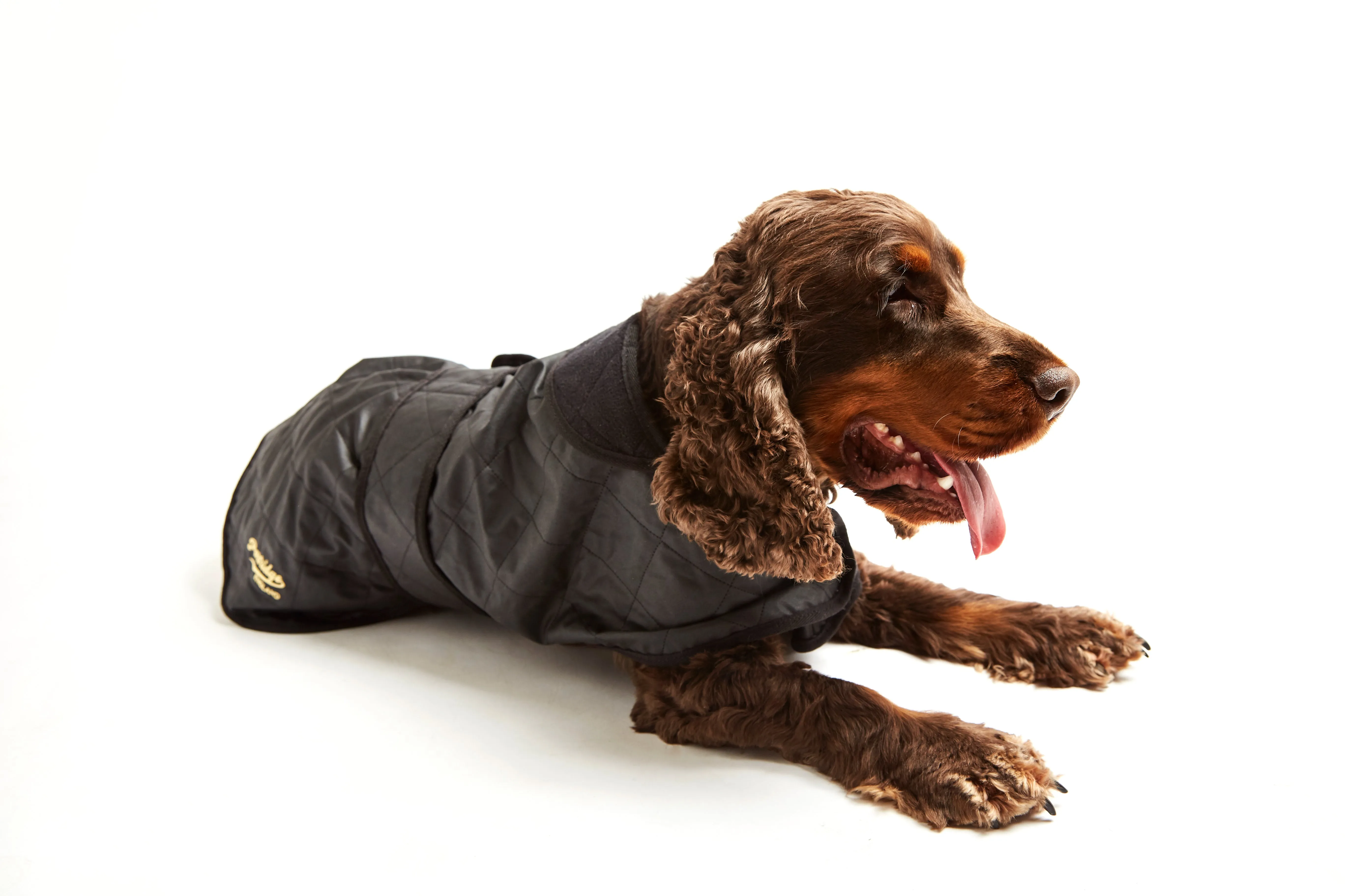 Dog Coat - Black Quilted Wax