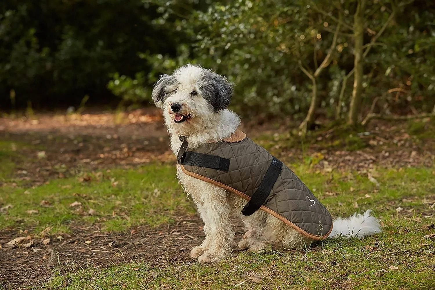 Gor Pets Worcester Quilted Dog Coat