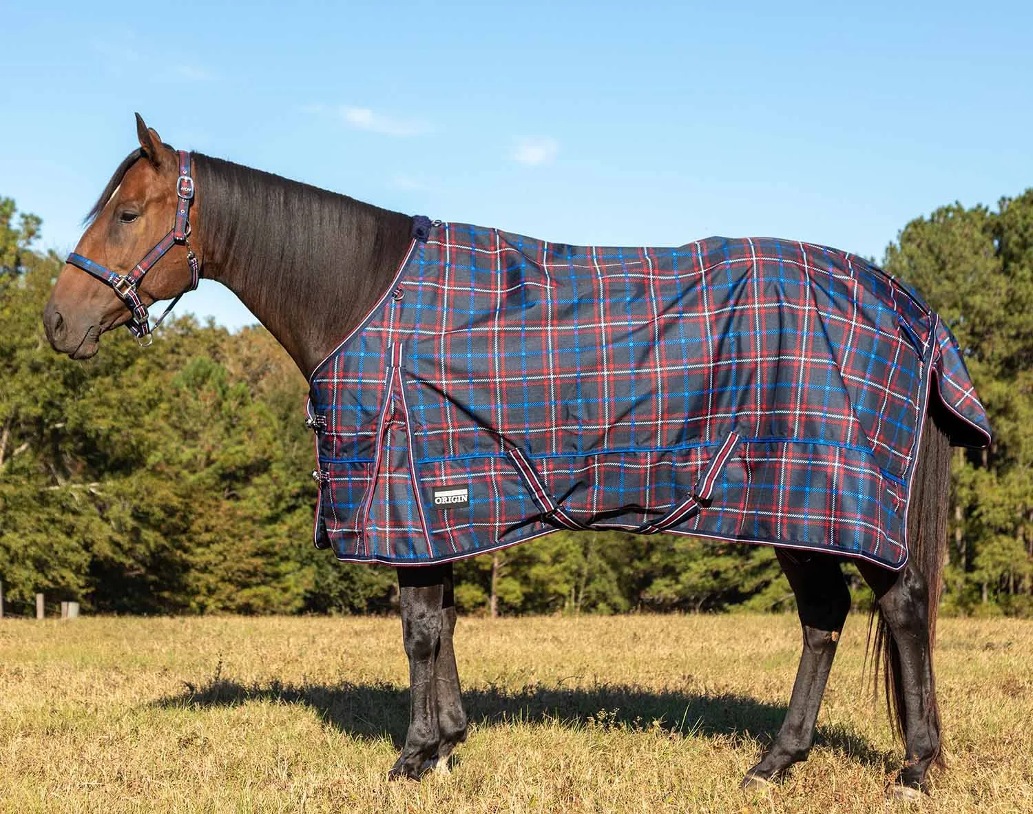 Jeffers Poplar Head Origin 600 Denier Turnout Blanket, 240 Gram, Navy and Merlot Plaid