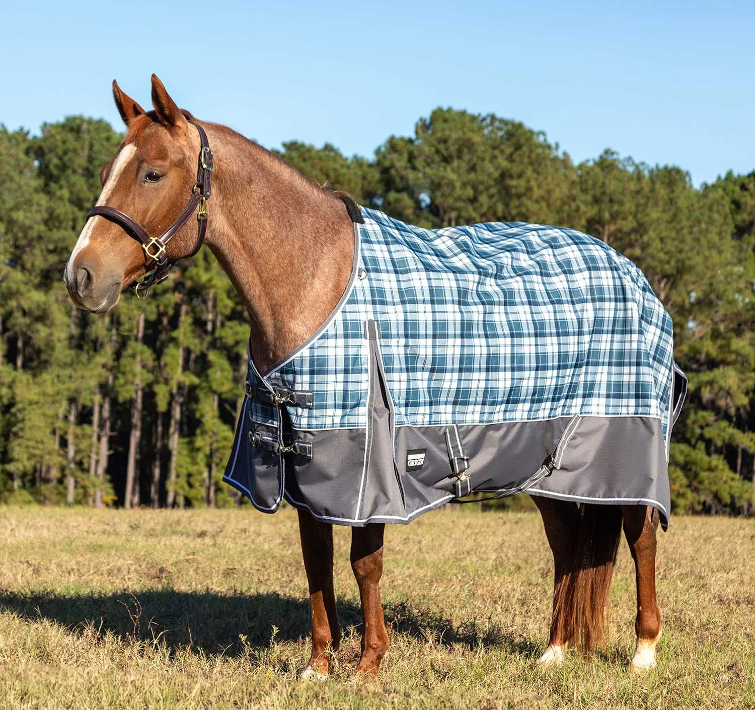 Jeffers Poplar Head Origin 600 Denier Turnout Blanket, 240 Gram, Waterloo and Cream Plaid