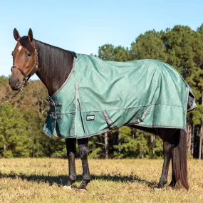 Jeffers Poplar Head Uniquely English 1200 Denier Turnout Blanket, 240 Gram, Spruce Stirrup Irons