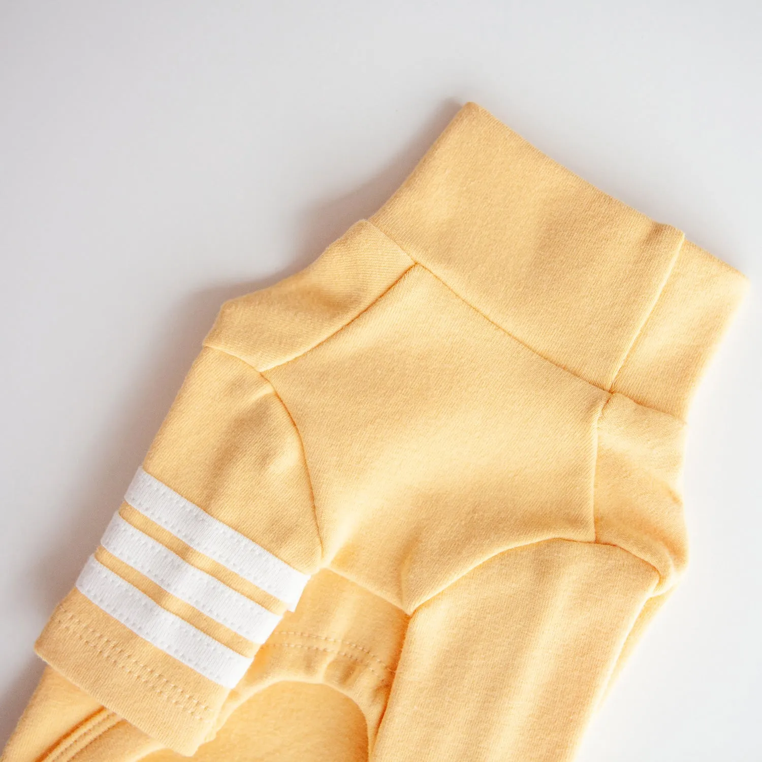 Striped Point Turtleneck in Yellow