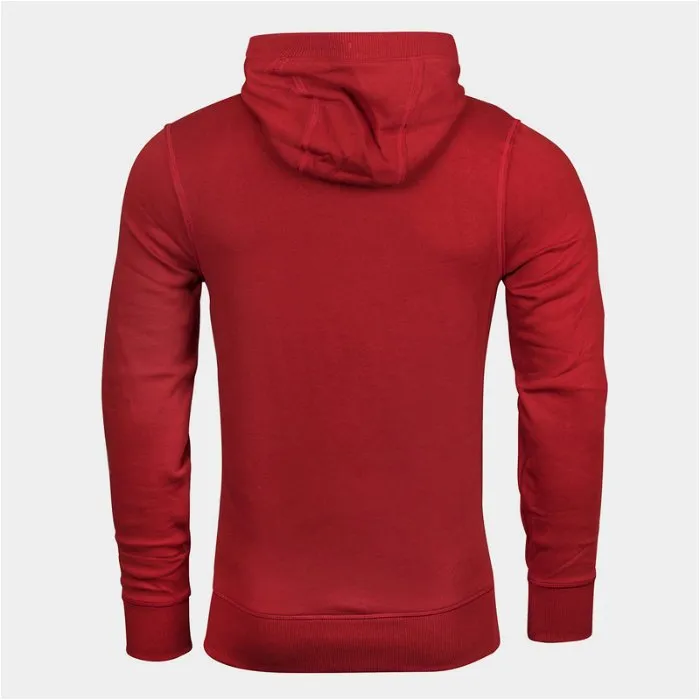 Under Armour Wales Kids Hoodie